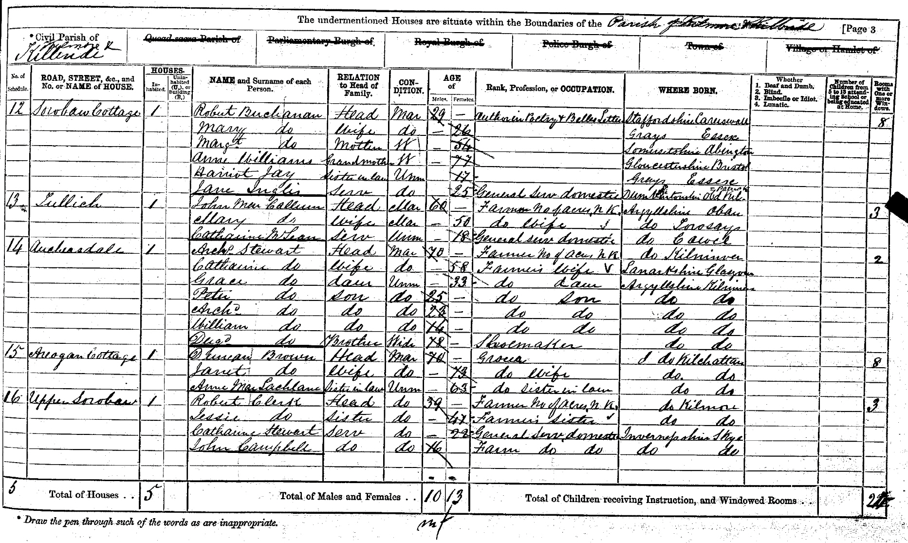 Buchanan1871census02