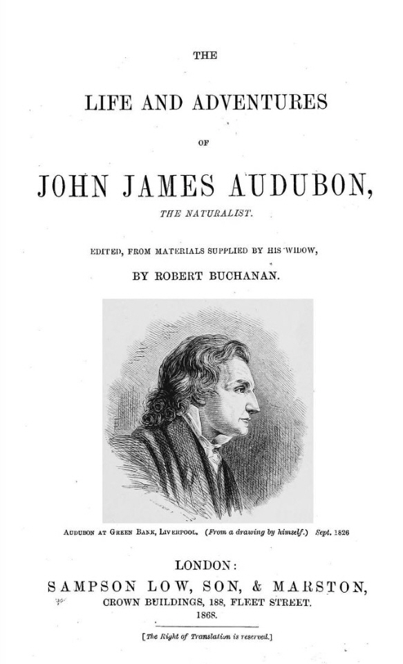 audubonbuchtitpg